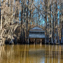 Keepin It Reel on Caddo Lake (Houseboat)