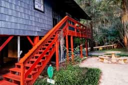 The Knee Knocker on Caddo Lake