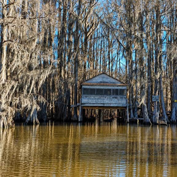 Keepin It Reel on Caddo Lake (Houseboat)